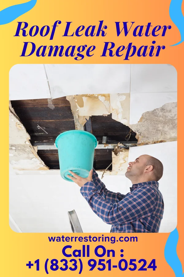 Roof Leak Water Damage Repair in Brusly, LA